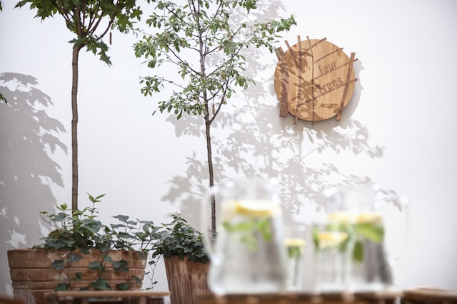 4 ツリーズ アパートメンツ バイ アドレス リビング