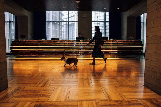 ザ・ダグラス・オートグラフ コレクション