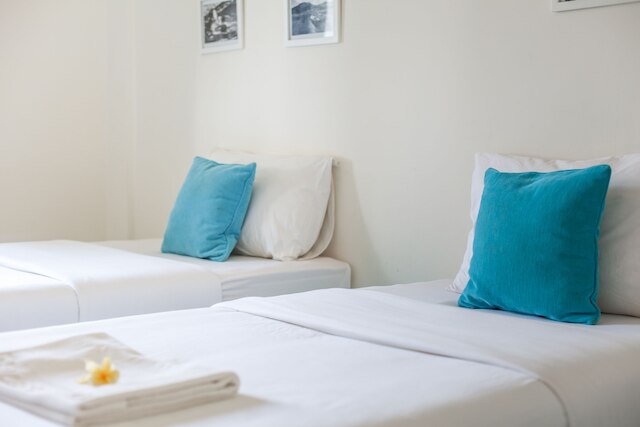 パラス パロス マリーナ ロッジ