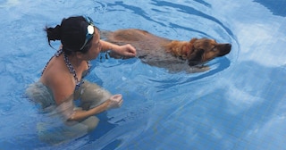 トゥルー ラブ ヴィラ (寵愛月台)