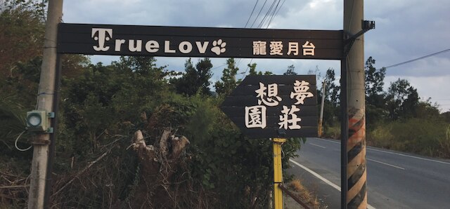 トゥルー ラブ ヴィラ (寵愛月台)