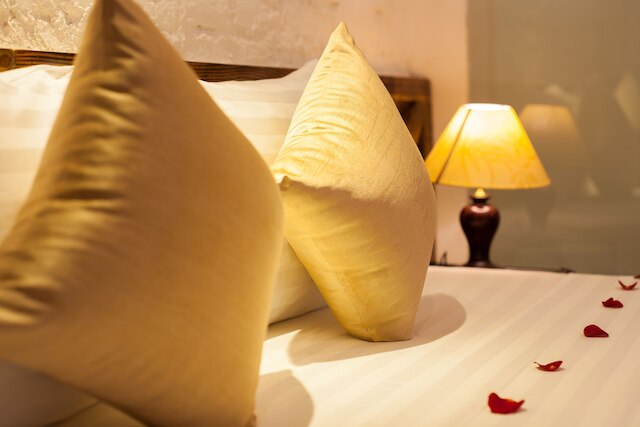 ラグジュアリー バックパッカーズ