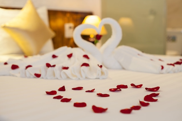 ラグジュアリー バックパッカーズ