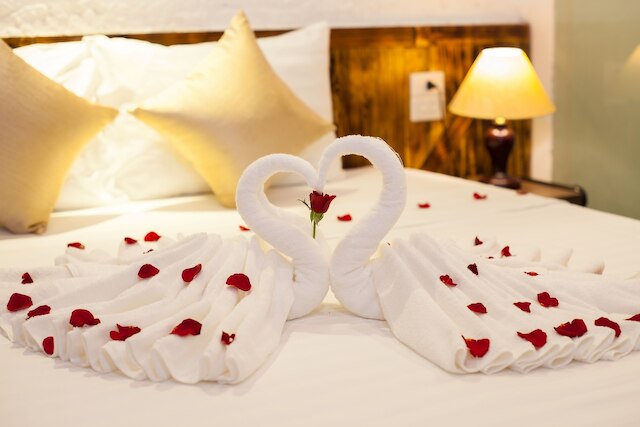 ラグジュアリー バックパッカーズ