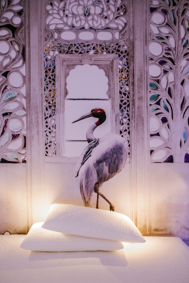 トレヴィ エリート ローマ