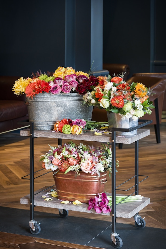 ザ ダルシーホテル