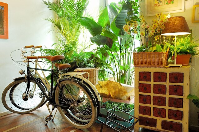 北京インターナショナル ユース ホステル (北平国际青年旅舍)