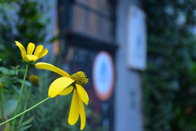 北京インターナショナル ユース ホステル (北平国际青年旅舍)