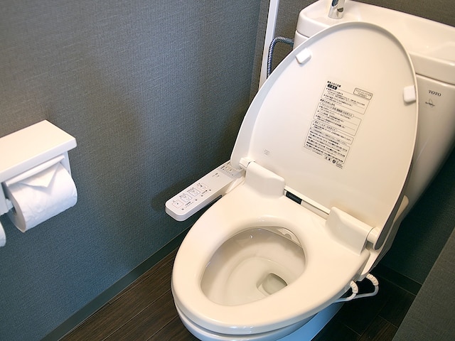 下呂温泉 紅葉館 別館 わん泊亭