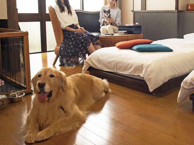 下呂温泉 紅葉館 別館 わん泊亭