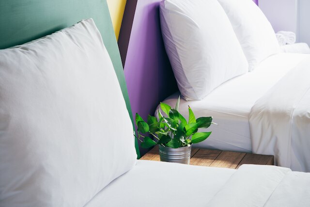 オーツ ベッド アンド ブレックファスト (燕麥小別館)