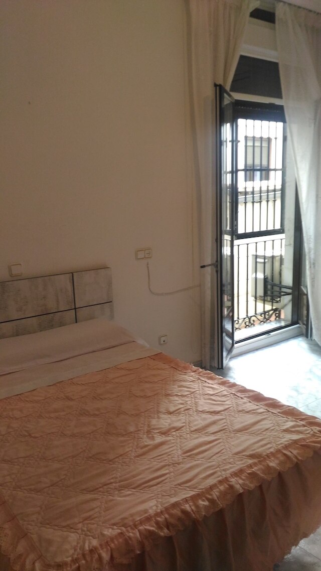 ホスタル パラシオス フエンカラル