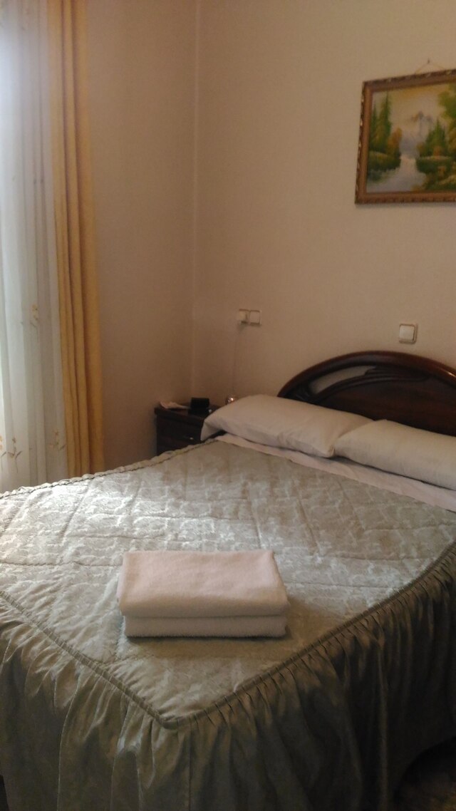 ホスタル パラシオス フエンカラル