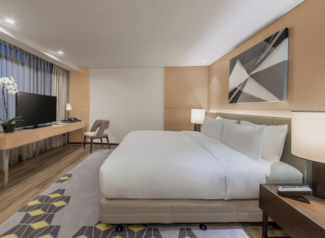 セダ ヴルティス ノース