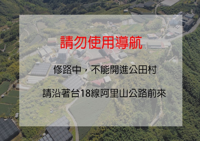 シーキング - アリシャン サンライズ (阿里山初日)