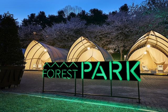 ビスタ ウォーカーヒル ソウル