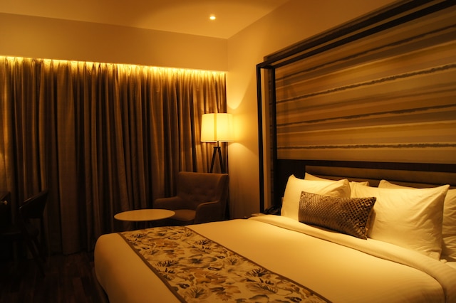 ザ ロイヤル セネト レース コース