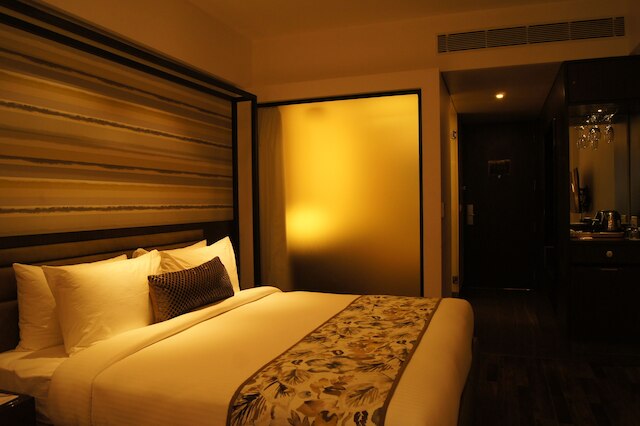 ザ ロイヤル セネト レース コース