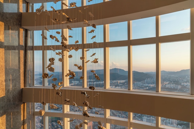 シグニエル ソウル