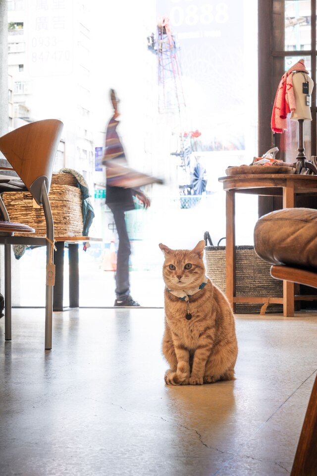 オリジン (OrigInn Space 大稻埕)