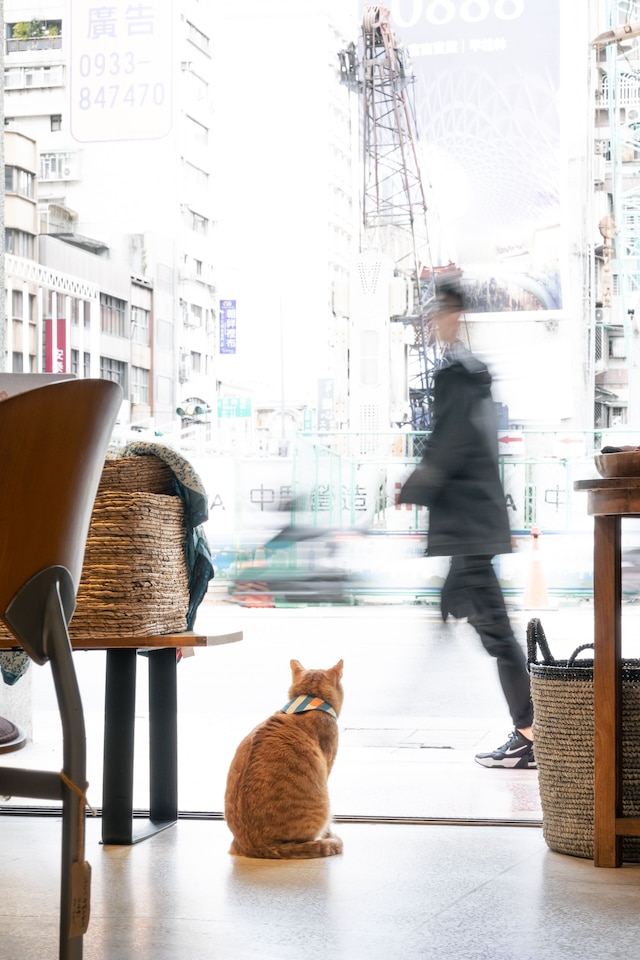 オリジン (OrigInn Space 大稻埕)