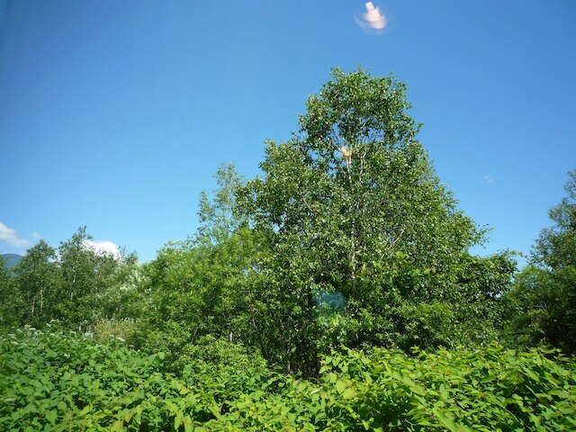 リゾートハウス ニセコファースト