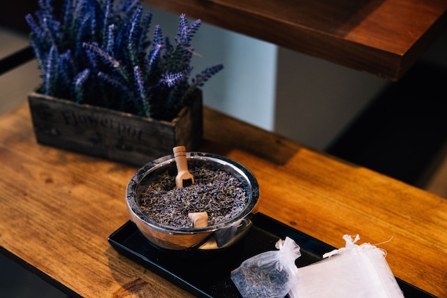 ACホテル・デンバー・ダウンタウン