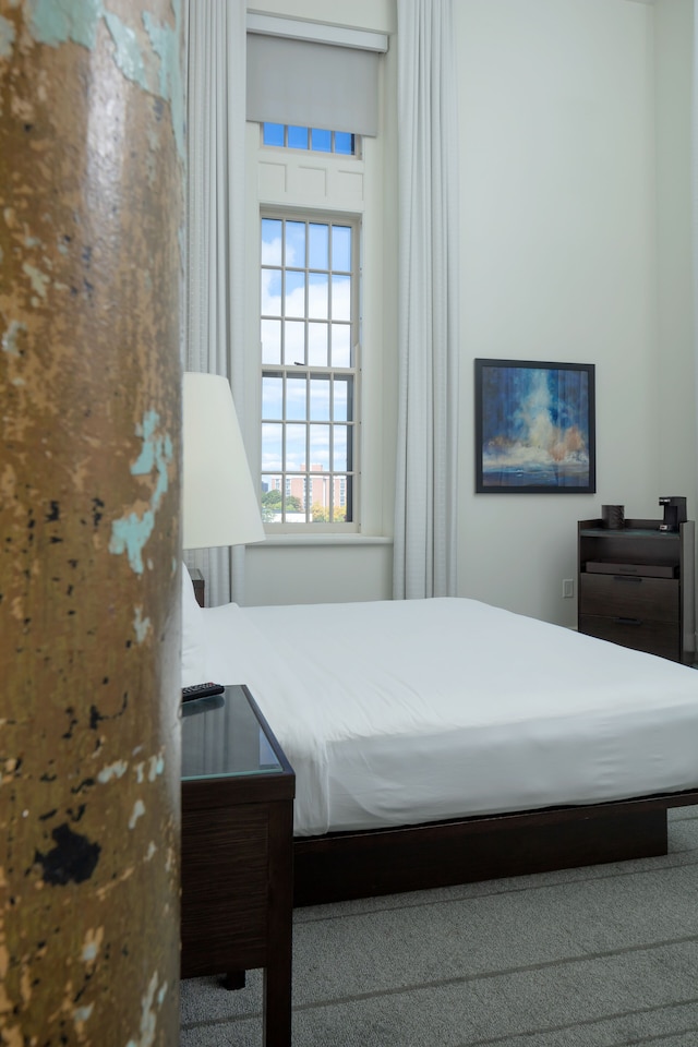 ザ リチャードソン  ホテル