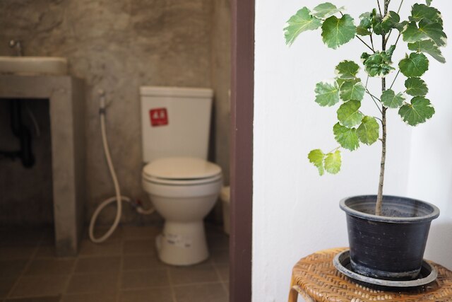 ナンアン ハウス ホステル