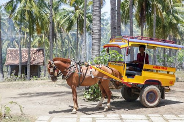 ヴィラズ エデニア