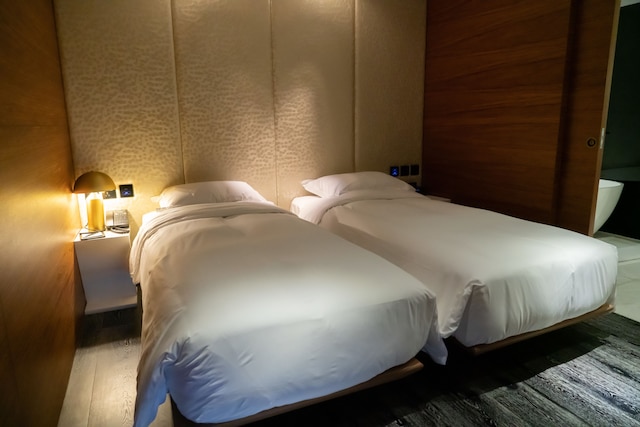 YOHO Hollywood Roosevelt Hotel (YOHO荷里活罗斯福酒店)