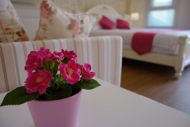 グリーン フィールド & サンシャイン (青田日光民宿)