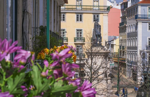 カジーニャ ダス フローレス