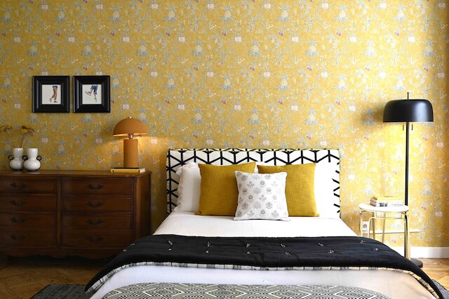 サパテイロス 44