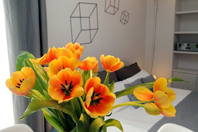 プロパガンダ スイーツ