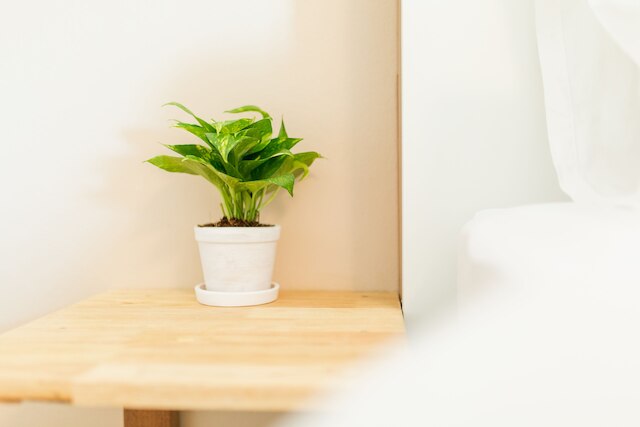 ハビタット ホテル