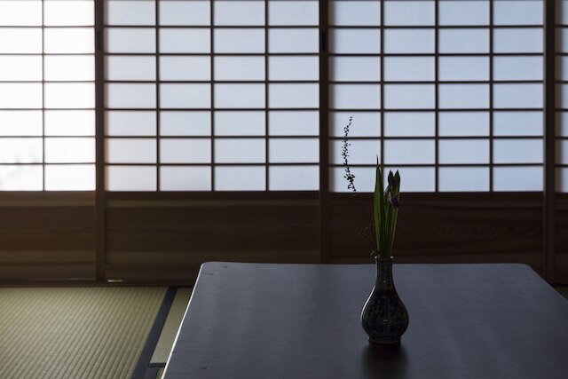 三十三間堂 宵椿