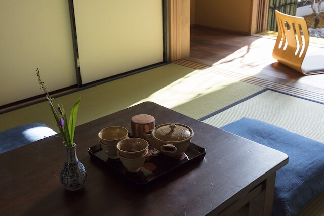 三十三間堂 宵椿