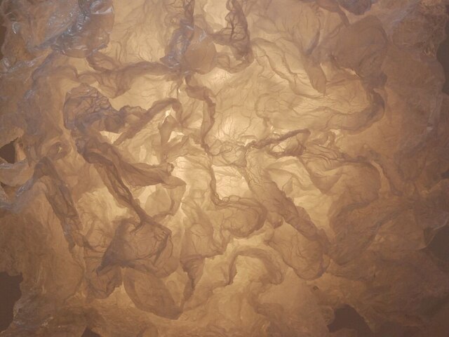 リール ア パール - ジット ユルバン