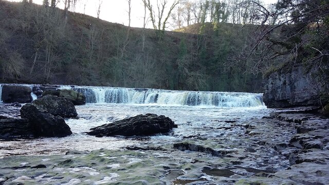 ウィランス ハウス ゲスト ハウス