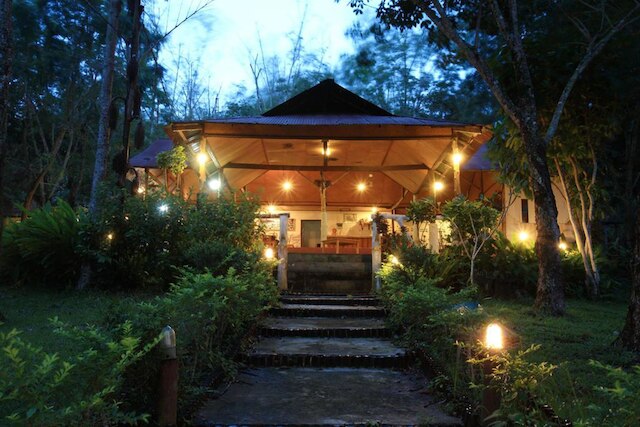 コ ムック ラバーツリー バンガロー