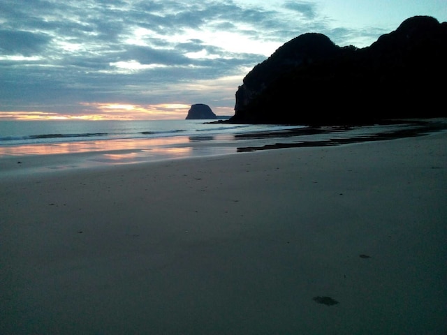 コ ムック ラバーツリー バンガロー