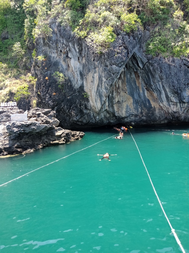 コ ムック ラバーツリー バンガロー