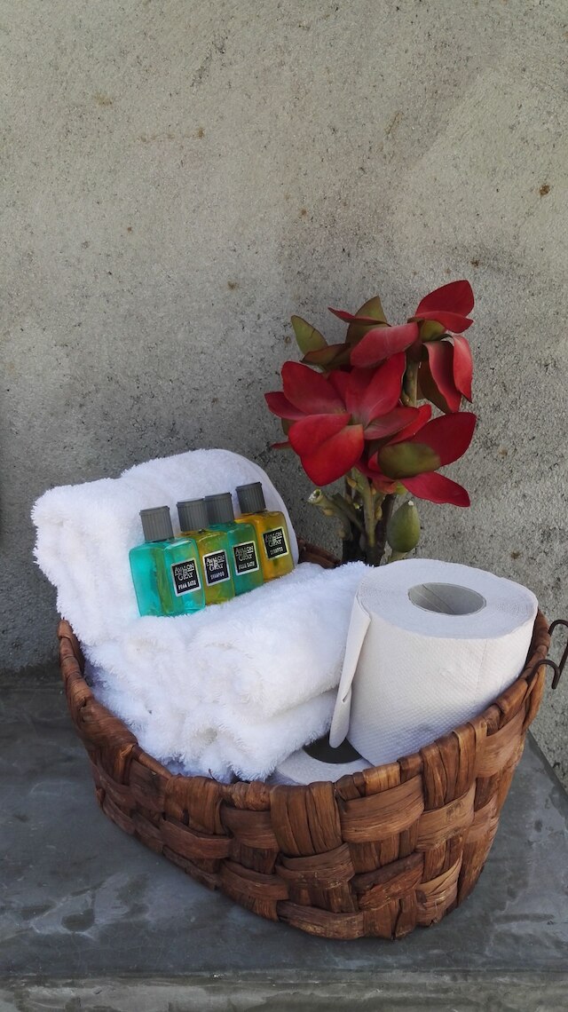 トロピカル エコ キャンピング