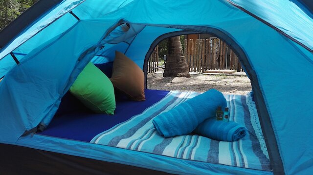 トロピカル エコ キャンピング