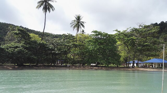 トロピカル エコ キャンピング