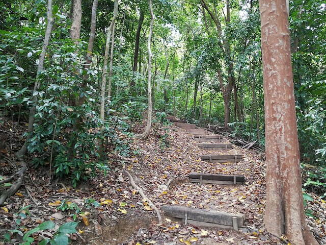 トロピカル エコ キャンピング