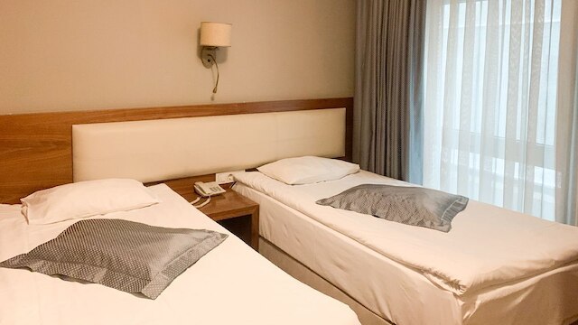 レイカーツ 2017