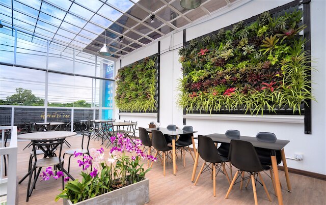 コネクト ホステル