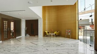 バギニ アイコン プレミア